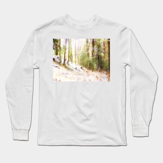 Snowy Sunlit Forest Glade #2 Long Sleeve T-Shirt by DlmtleArt